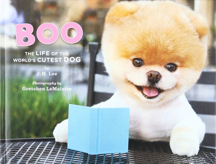 In 2011 verscheen een boek over de schattigste hond ter wereld.