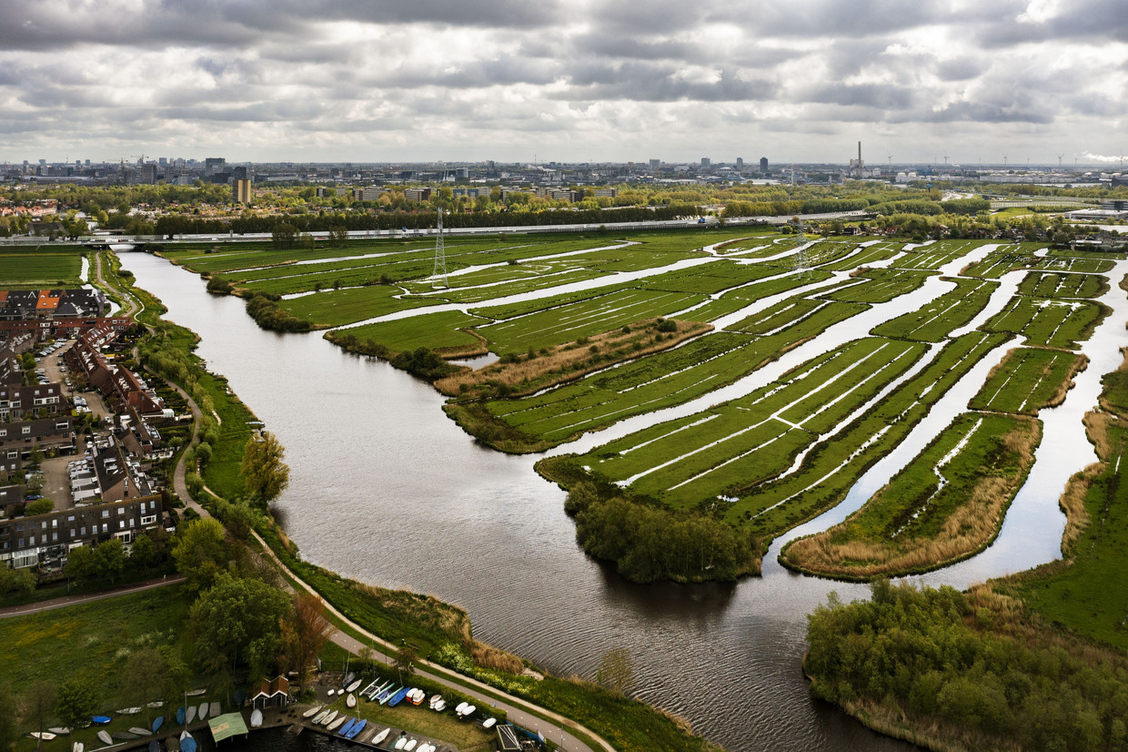 Het veenweidegebied ten noorden van Amsterdam. Landsmeer vormt als het ware de grens tussen het stedelijke Amsterdam en het landelijke Noord-Holland.  Beeld Michiel Wijnbergh / ANP