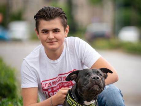 Hond Tommy mishandeld en gemarteld, politie start intern onderzoek naar zeven agenten