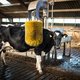 Het verduurzamen van de landbouw vraagt meer van de bank