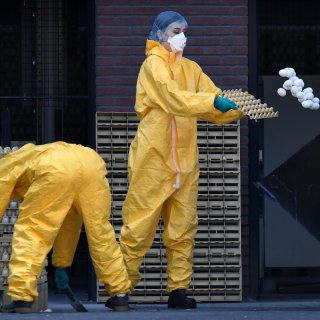 De vogelgriep is terug. Hoe riskant is deze uitbraak en wat is ertegen te doen?