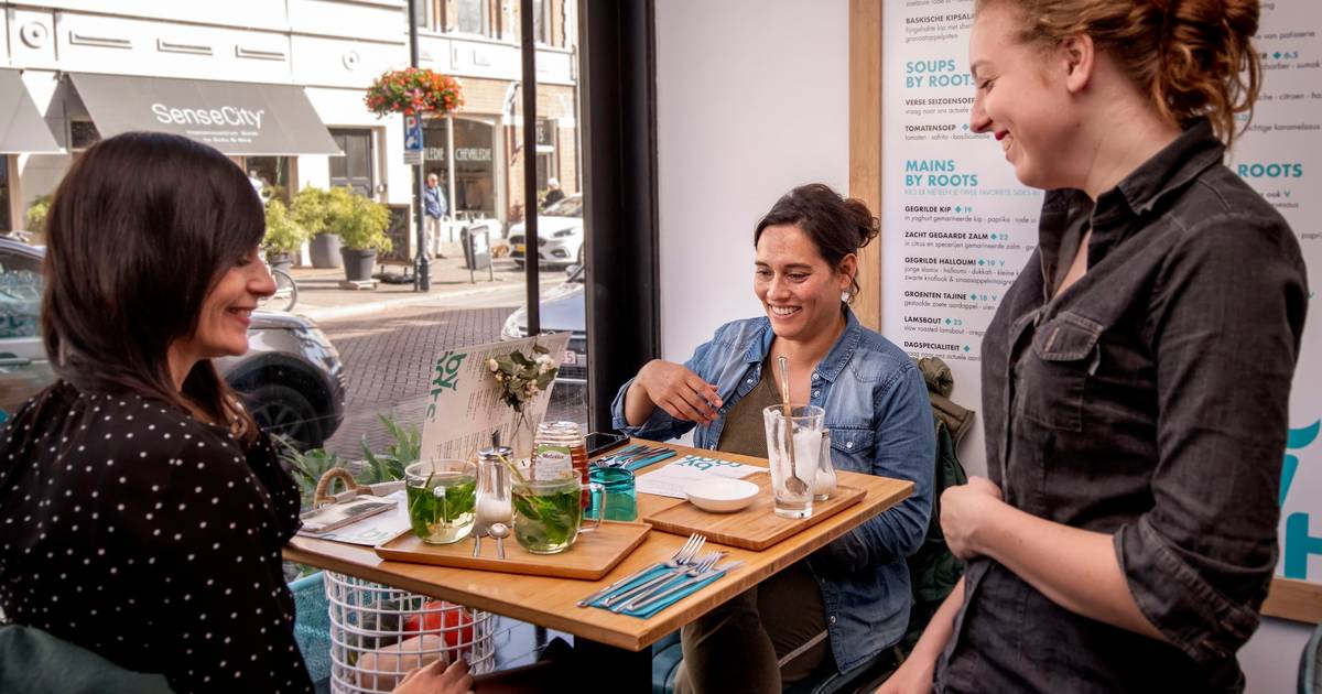 Hummus en falafel aan de Ginnekenweg Breda bndestem.nl