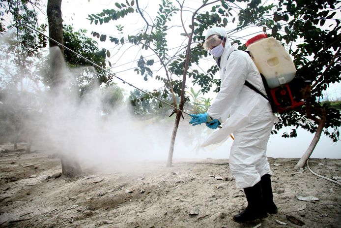 Een man desinfecteert een mogelijk met H5N1 besmet gebied op een archieffoto.