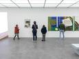 Rondleiding in Roger Raveel Museum.