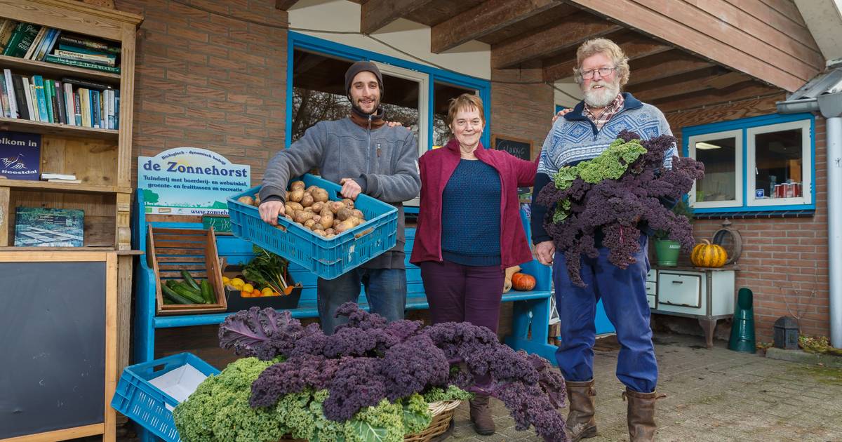 Einde aan biodynamische groentetas uit Punthorst