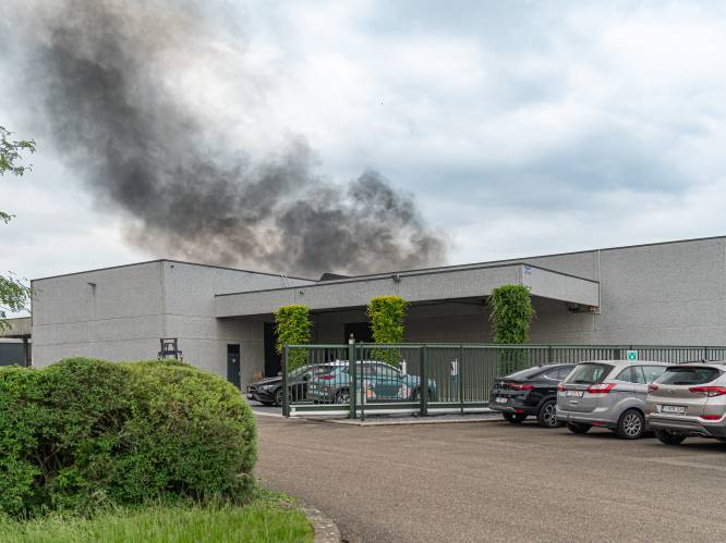 Dikke rookpluim door zware industriebrand bedrijf ‘Jeubis’ in Sint-Truiden
