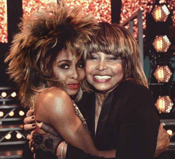 Tina Turner deelde vrijdagmiddag deze photoshop van Ard op haar Instagram.