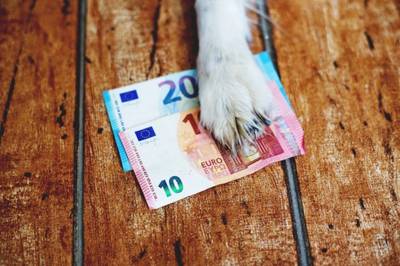 Deurwaarder geeft in beslag genomen hond Nero terug aan baasje