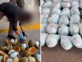 Mexicaanse politie vindt 300 kilo fentanyl in kokosnoten