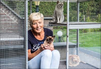 'Huisarrest voor katten is helemaal niet zo’n gek idee'
