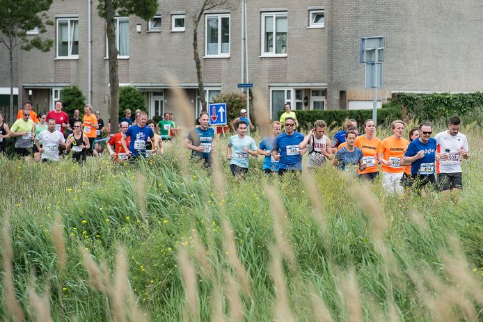 Pix4Profs-Ron Magielse
deelnemers aan de 10 km tijdens haagse beemdenloop ter hoogte van de westerhagelaan