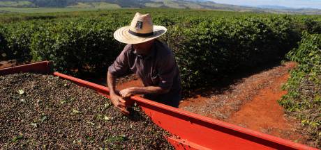 Jumbo belooft meer te doen aan ‘systematische uitbuiting’ van vrouwelijke arbeiders wereldwijd