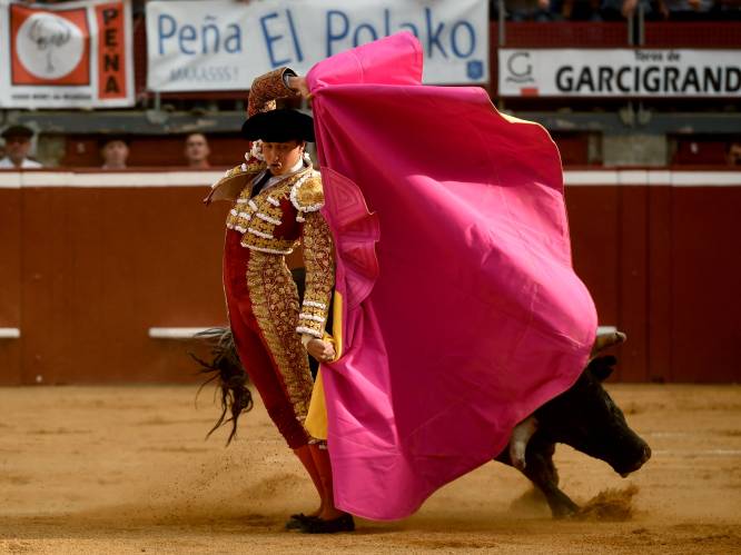 
Sevilla laat kinderen gratis naar stierengevechten gaan: “Beste manier om kennis te maken met traditie”