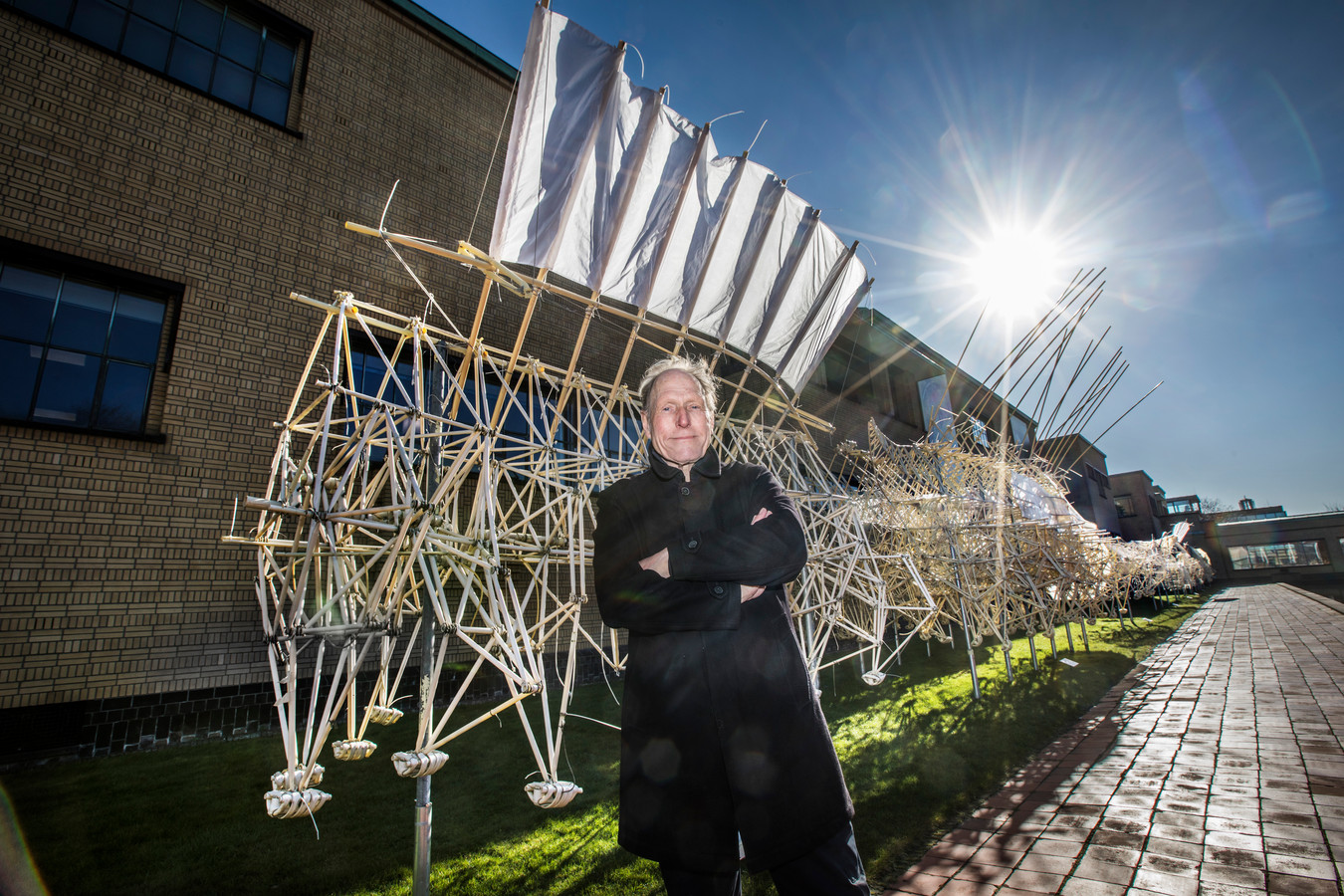 De Strandbeesten van Theo Jansen trotseerden de zwaarste stormen nu te zien bij Kunstmuseum