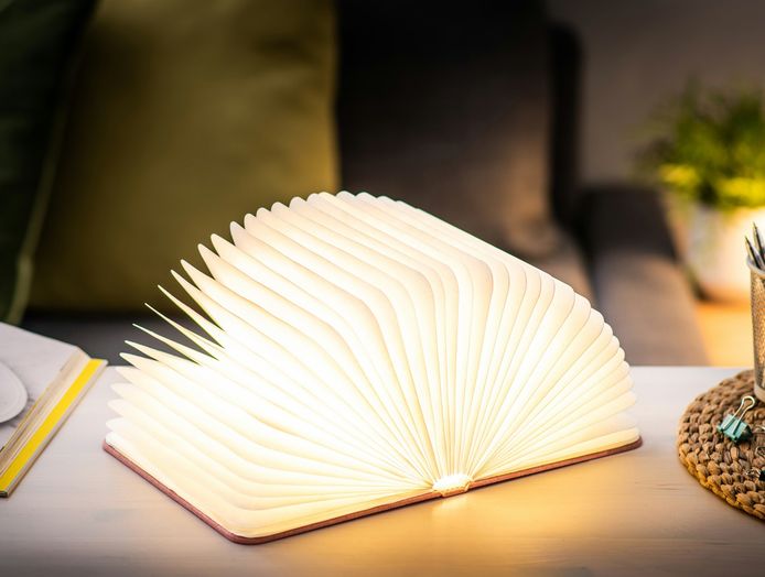 Smart Book Light € 39,95 tramite luddites.be