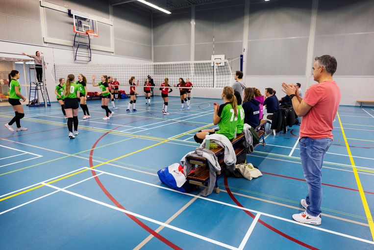 null Beeld Werry Crone