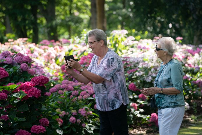 Bezoekers genieten van de bloemen.