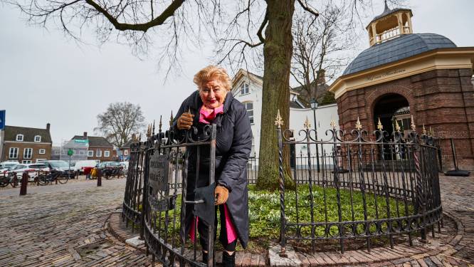 Heemschut hekelt verwaarlozing monumenten voor koningin Wilhelmina in Zutphen: ‘Het is van de zotte’