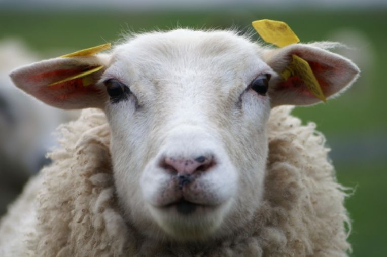 null Beeld Thinkstock