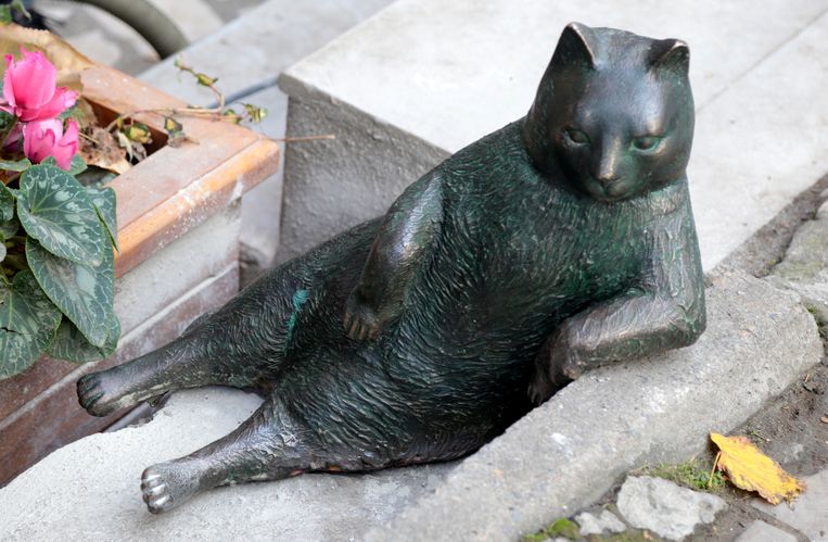  In de wijk Kadiköy plaatste het bestuur van de deelgemeente een bronzen sculptuur van kat Tombili, nadat 17 duizend mensen daartoe na zijn overlijden een petitie hadden getekend. Beeld Getty Images