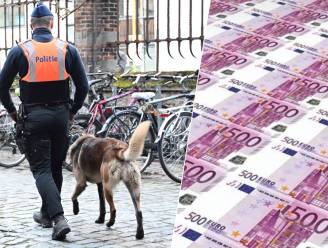 ‘Cashhond’ van politie vindt 52.000 euro tijdens huiszoeking: “Bestuurder (20) gedroeg zich zenuwachtig tijdens controle”