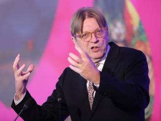 Guy Verhofstadt slachtoffer Turkse hackaanval