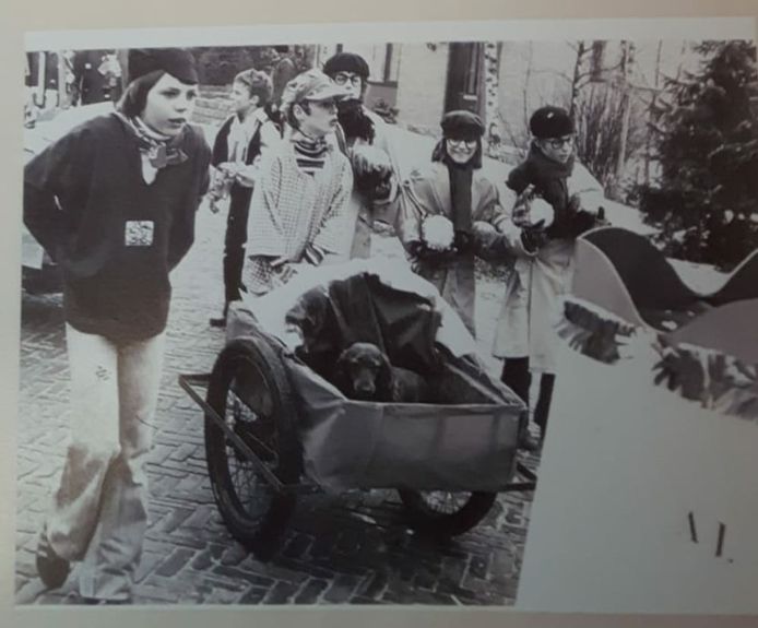 Een foto uit de oude doos van De Blaarkoppen, met de bloemkolen uit het liedje van André van Duin.