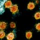 Herbesmetting met corona: moeten we ons zorgen maken?