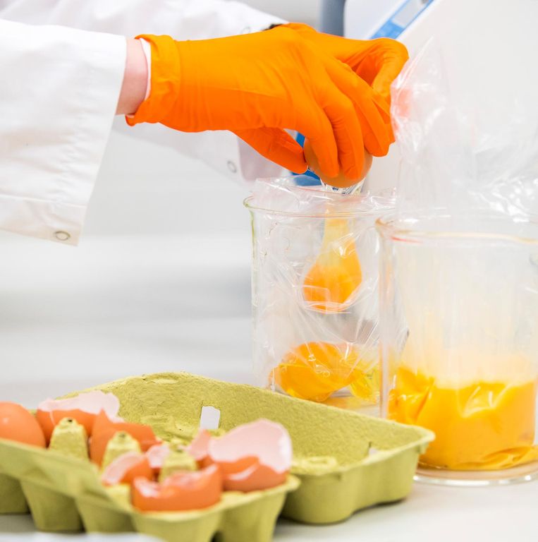 Een medewerker van het laboratorium van de Nederlandse Voedsel- en Warenautoriteit (NVWA) onderzoekt eieren op de aanwezigheid van het gif fipronil. Beeld anp
