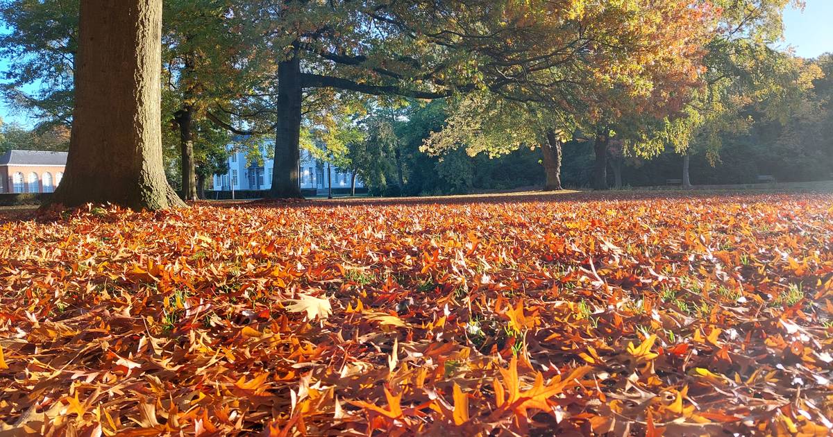 WEERBERICHT. Na grijze start overwegend zonnige dag met temperaturen ...