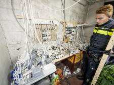 Fors minder wietkwekerijen ontdekt door de politie
