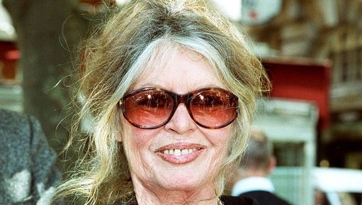 Brigitte bardot lunettes clearance