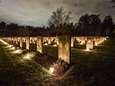 Dit jaar wél 2400 lichtjes en publiek op de erevelden in Bergen op Zoom: ‘In principe zonder coronacheck’ 