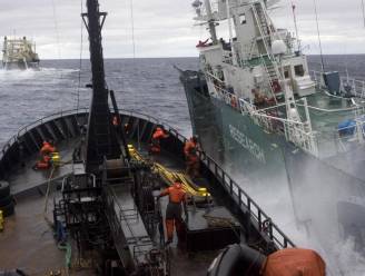 Sea Shepherd gaat niet meer jagen op walvisjagers in Zuidelijke Oceaan