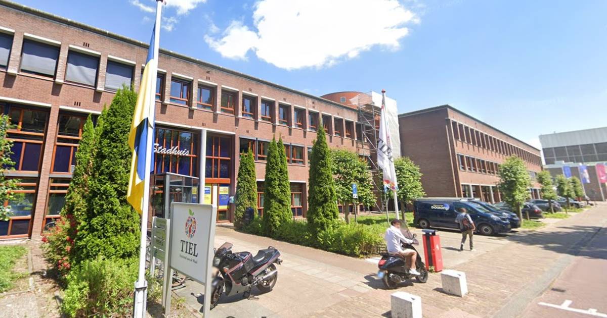 Profiel voor een nieuwe burgemeester der gemeente Tiel | vallei ...
