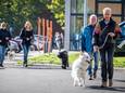 Na de lancering van de hondenwandelingen vorig jaar, opent Stad Hasselt binnenkort ook het eerste hondenlosloopbos. (Archiefbeeld hondenwandelingen in Hasselt)