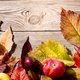 10 x haal de herfst in huis