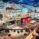Het nieuwe Naturalis moet ook twijfelaars naar binnen lokken