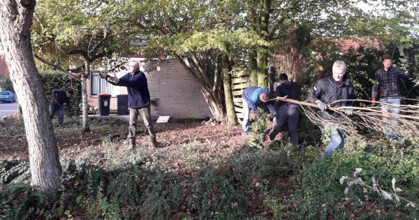 Bewoners Kardinaal Alfrinkweg in Weerselo knappen buurt zelf op