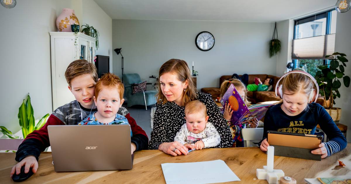 Een Huis Vol Familie Kraan