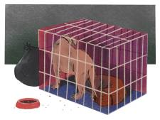 Omstreden puppyhandelaar duikt op in het Gelderse Wijchen: ‘Het eerste hondje is al overleden’