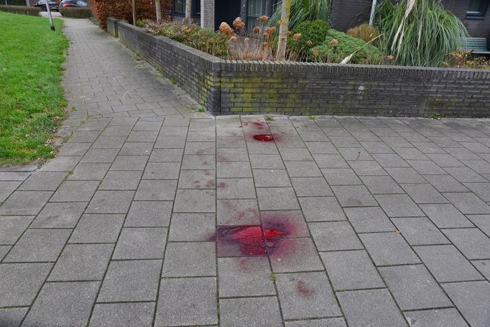 Sporen van bloed van de vernieler van de verkeersborden.