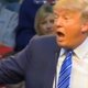 'De ideale wereld' maakt een vervolg op 'Dumb & Dumber': 'Trump and Dumber' (filmpje)
