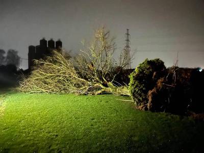 Ontwortelde bomen, tiental daken beschadigd, vliegende trampoline: valwind houdt lelijk huis in Maaseik en Kinrooi