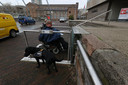 Marieke van Gastel met haar hulphond bij de slecht werkende gehandicaptenlift van het Stadhuis in Eindhoven.