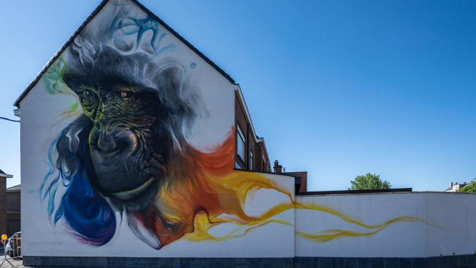 Gorilla van Smok genomineerd voor beste streetart 2021: “Stem nu mee en breng Dendermonde wereldwijd in beeld”
