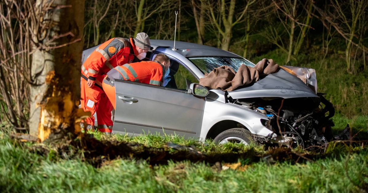 Jonge stapper was geïrriteerd door dronken vrienden en veroorzaakte zwaar ongeluk - BD.nl
