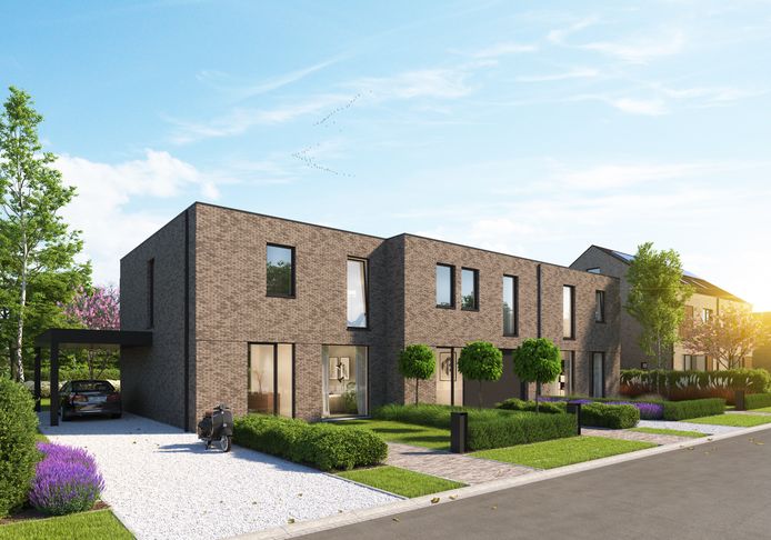 De energiezuinige woningen.