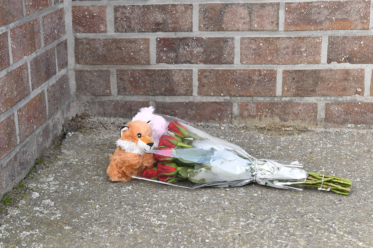 Familiedrama in Pelt. Beeld BELGA