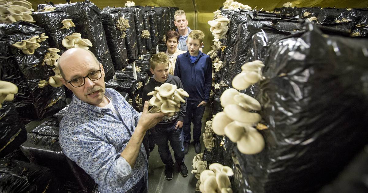 Debuut Business Tour in Langeveen vraagt om vervolg